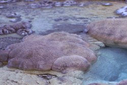 [Mounds at Bead Geyser]